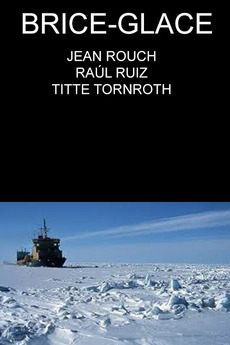 368086-brise-glace-0-230-0-345-crop